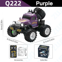 Q222 Purple