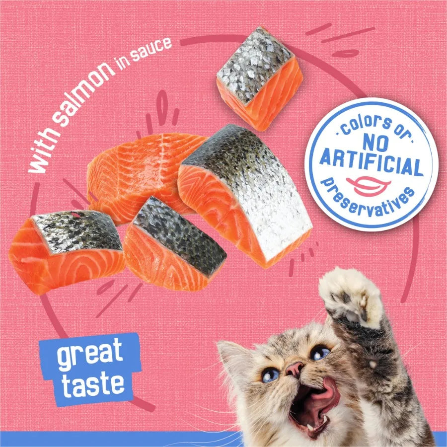 Purina Shreds With Salmon in Sauce Wet Cat Food 5.5 oz Can 24 Pack Salmon Color High-Quality Protein for Cats