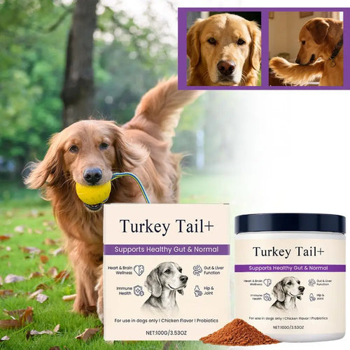 Dog Probiotic Intestinal Powder 100g Delicious Bacon Flavor Gut Flora Balance Digestive Support for Dogs Nutritional Supplement