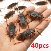 Cockroach-40pcs