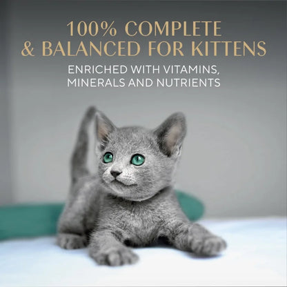 Perfect Portions Kitten Variety Flavors Pate Wet Cat Food 2.6 oz Twin-Pack Trays 24 Pack